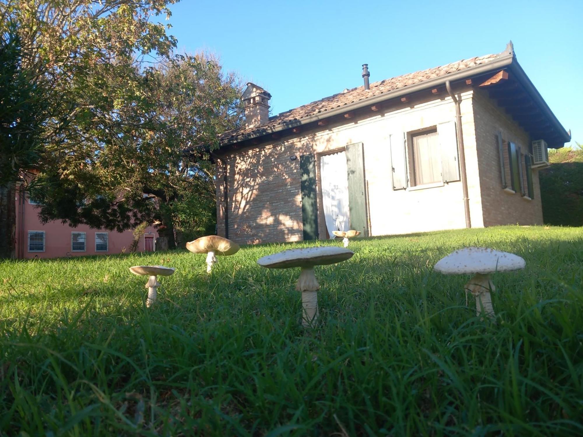 Fondo Novelle La Casina Ferrara